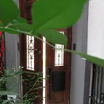 LOFT CATETE Baldô
