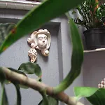 LOFT CATETE Baldô