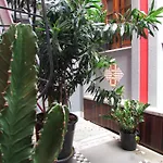 LOFT CATETE Baldô
