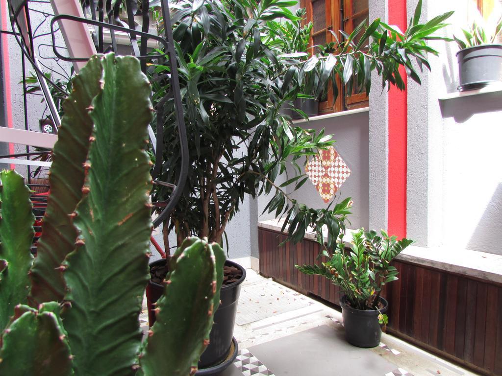 Loft Catete Baldo * Rio de Janeiro